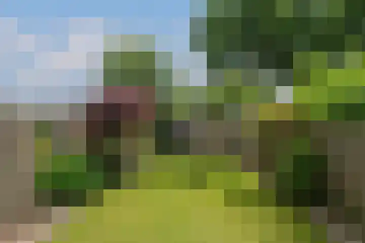 Meulenbeldlaan 99 Almelo thumbnail 23