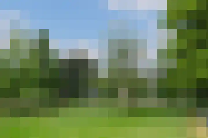Meulenbeldlaan 99 Almelo thumbnail 25