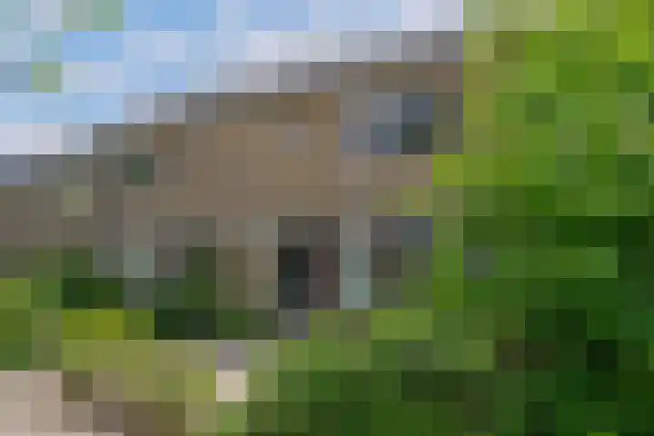 Meulenbeldlaan 99 Almelo thumbnail 27