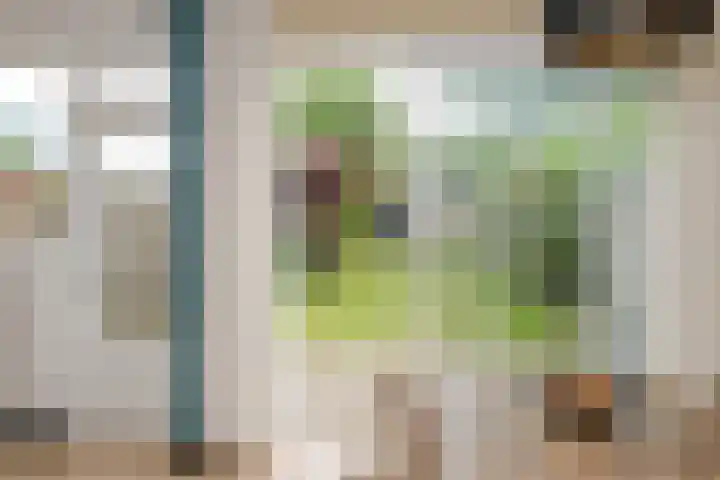 Meulenbeldlaan 99 Almelo thumbnail 9