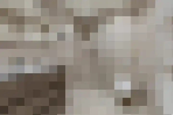 Meulenblock 16 Hoogerheide thumbnail 6