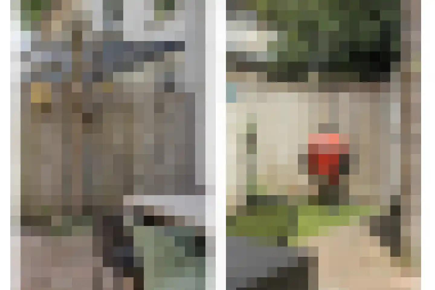 Meulenblock 22 Hoogerheide thumbnail 11