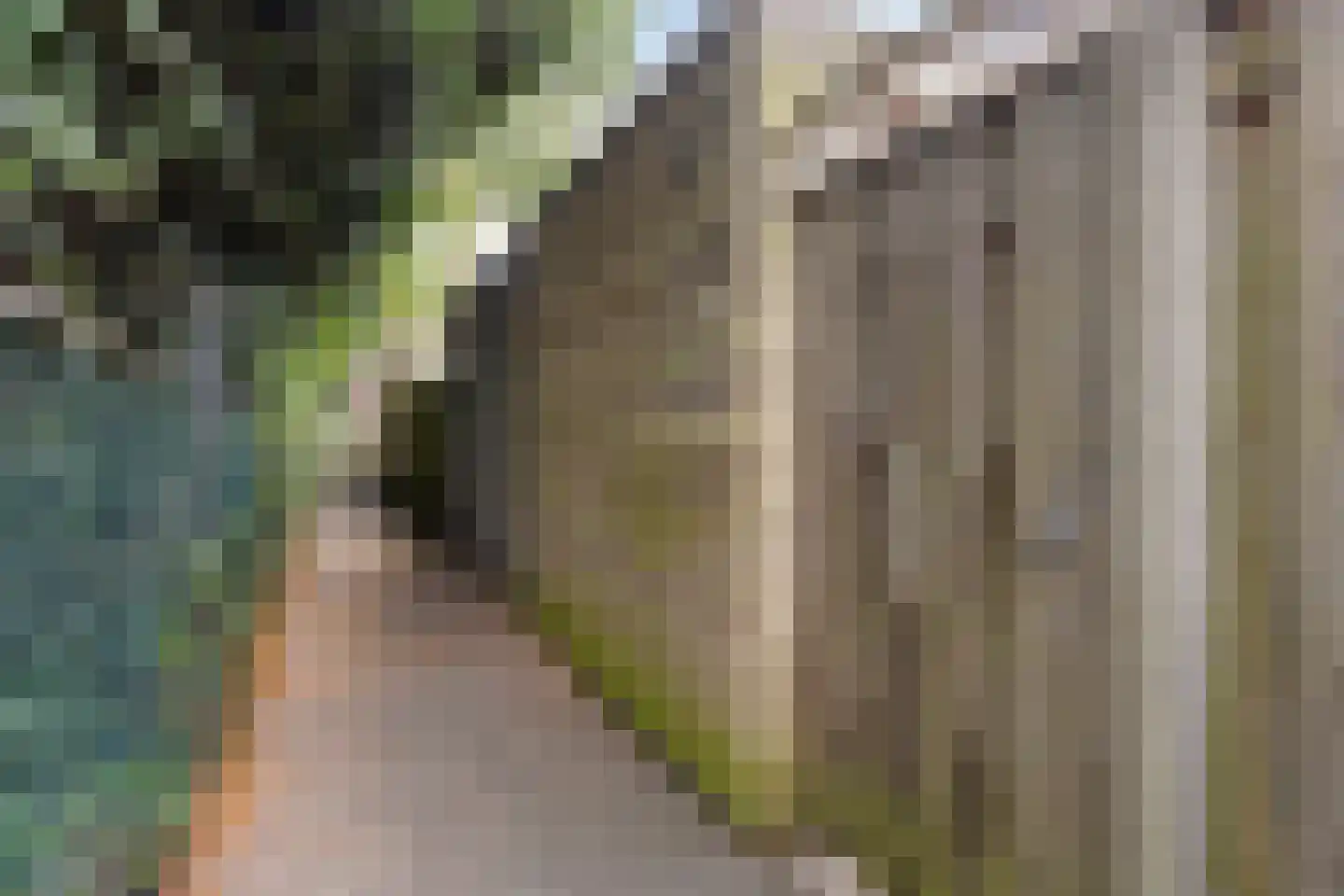 Meulenblock 22 Hoogerheide thumbnail 56