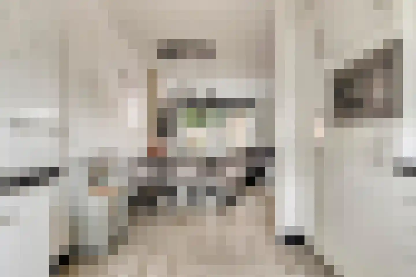 Meulenblock 22 Hoogerheide thumbnail 7