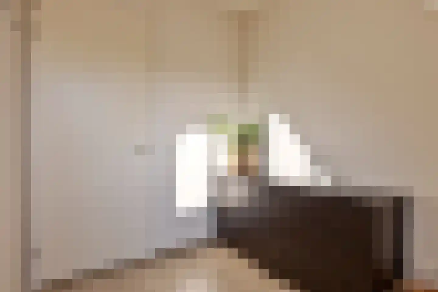 Meuleneind 4 Hoogeloon thumbnail 23