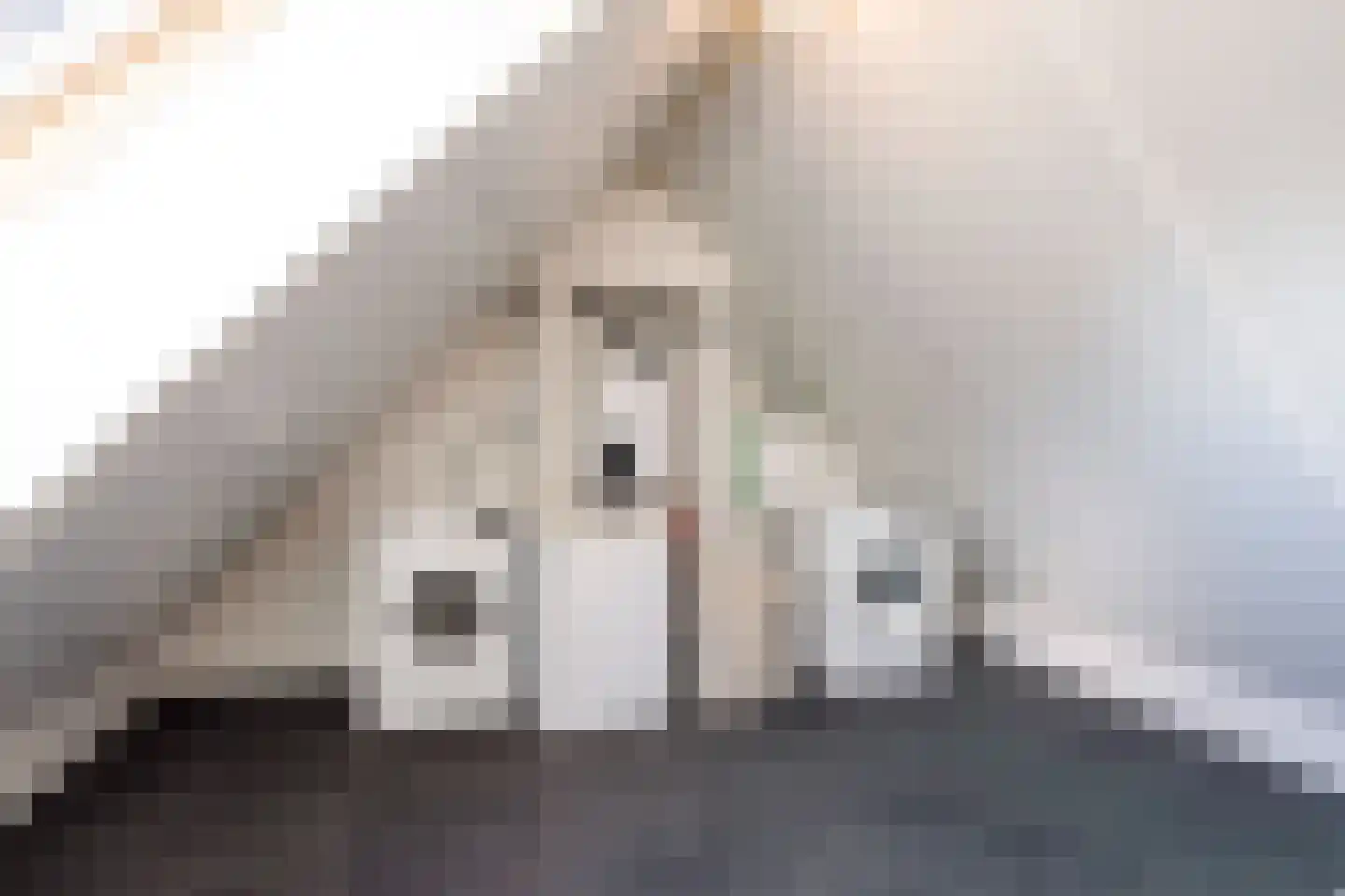 Meuleneind 4 Hoogeloon thumbnail 29