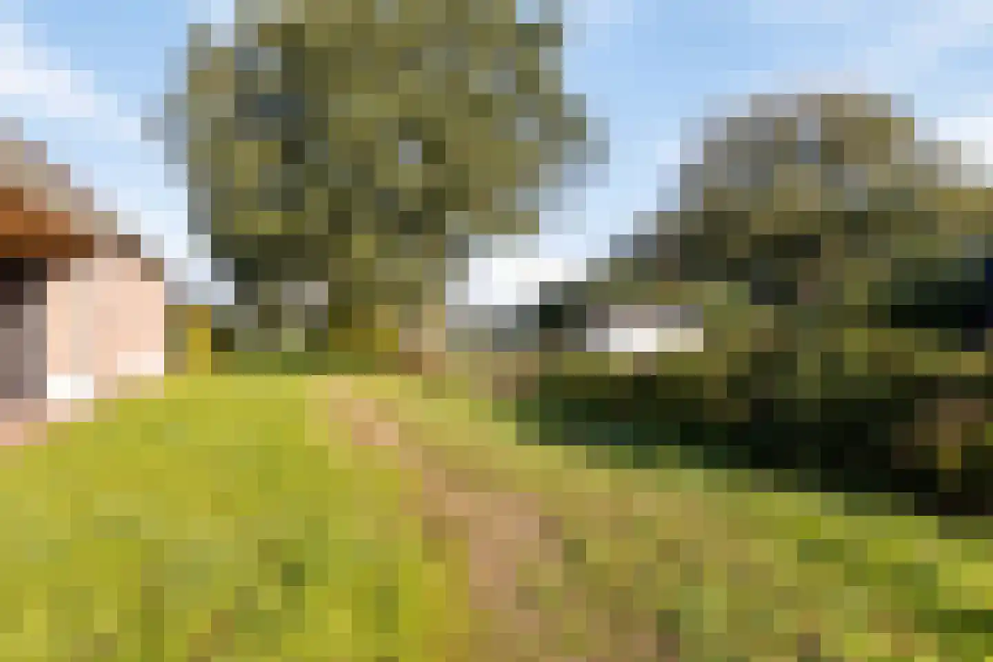 Meuleneind 4 Hoogeloon thumbnail 34