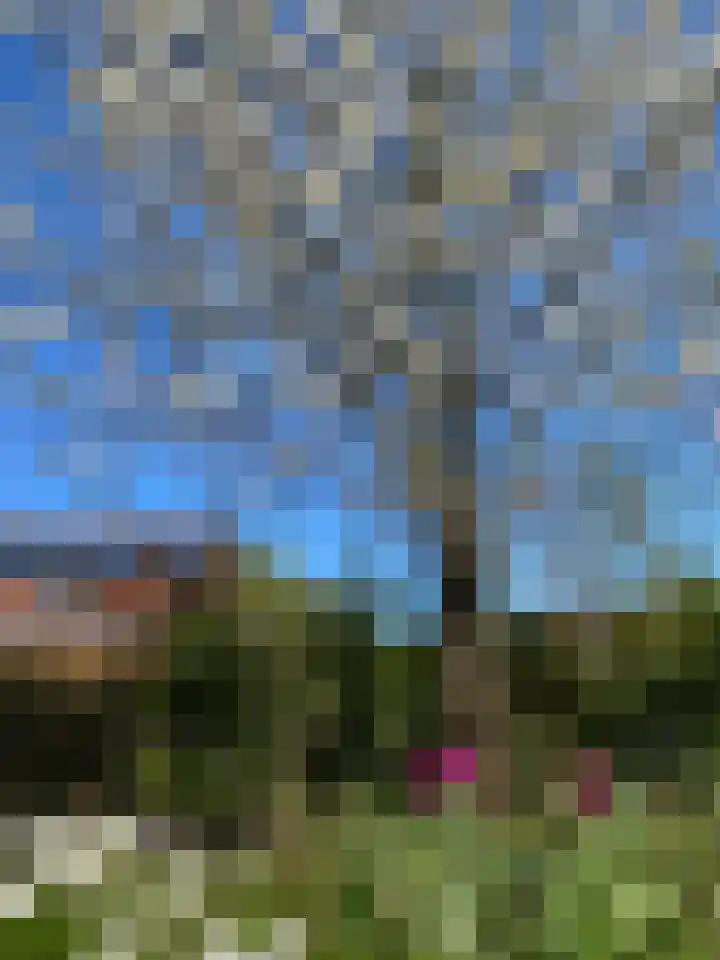 Meulenhörn 38 Zuidbroek thumbnail 42