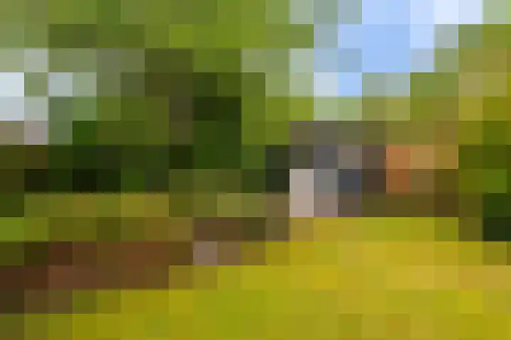 Meulenhörn 38 Zuidbroek thumbnail 47