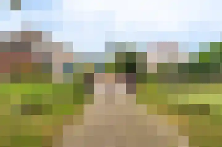 Meulenhörn 38 Zuidbroek thumbnail 7