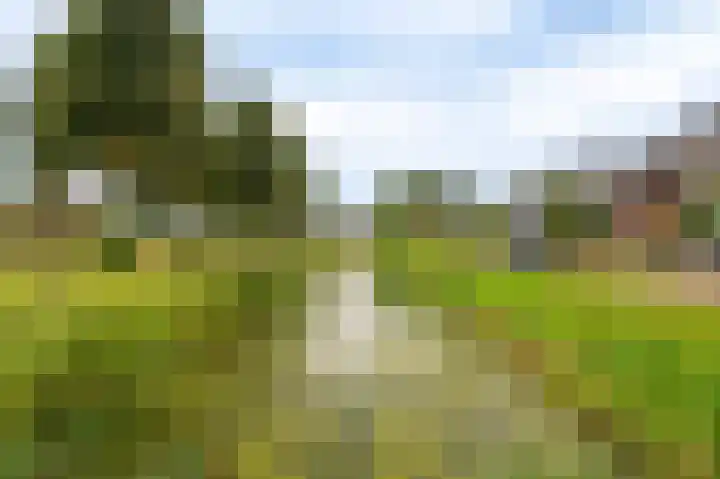 Meulenhörn 38 Zuidbroek thumbnail 8