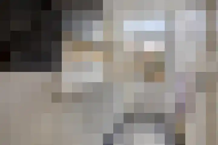 Meulenkampstraat 16 Kampen thumbnail 12