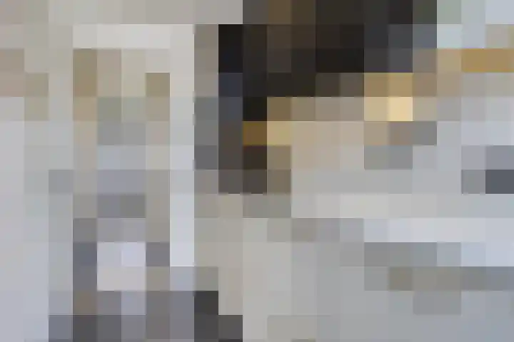 Meulenkampstraat 16 Kampen thumbnail 13