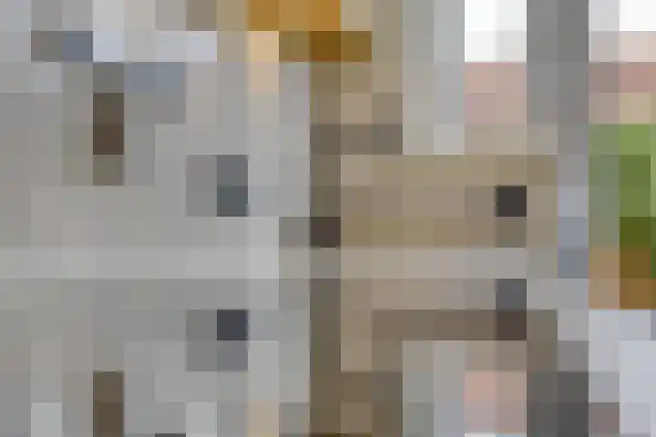 Meulenkampstraat 16 Kampen thumbnail 14