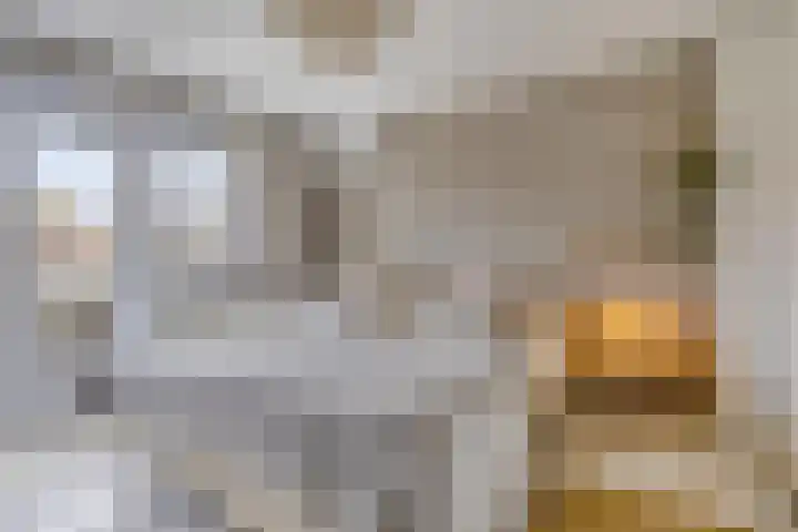 Meulenkampstraat 16 Kampen thumbnail 17