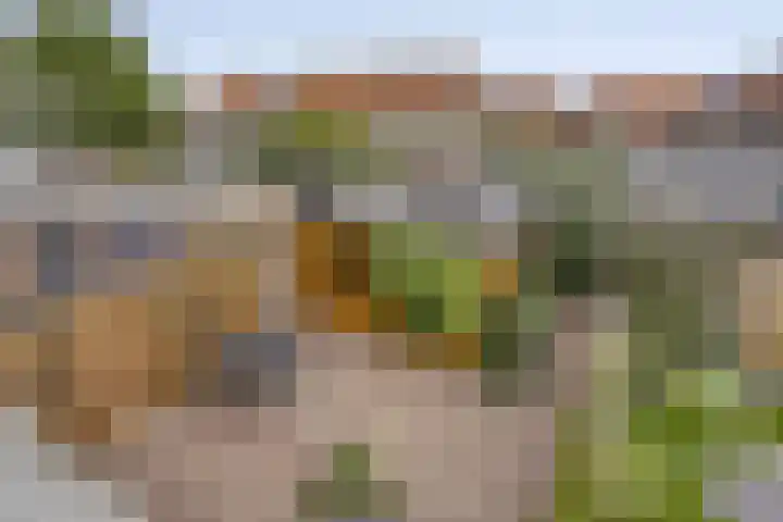 Meulenkampstraat 16 Kampen thumbnail 19