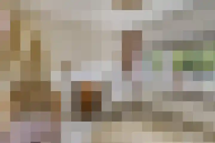 Meulenkampstraat 16 Kampen thumbnail 20