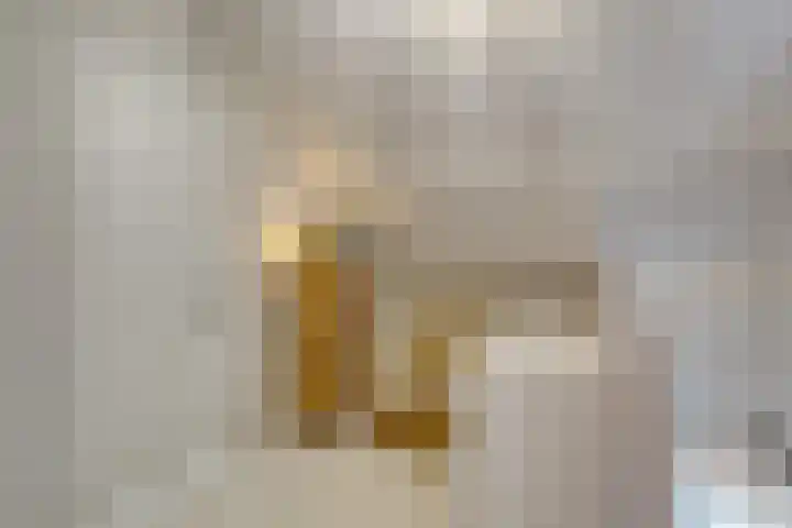 Meulenkampstraat 16 Kampen thumbnail 26