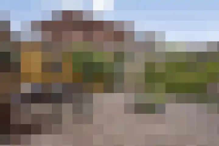Meulenkampstraat 16 Kampen thumbnail 30