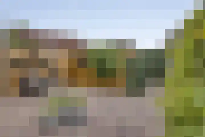 Meulenkampstraat 16 Kampen thumbnail 31