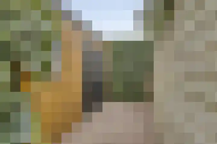 Meulenkampstraat 16 Kampen thumbnail 32