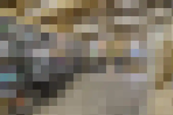 Meulenkampstraat 16 Kampen thumbnail 34