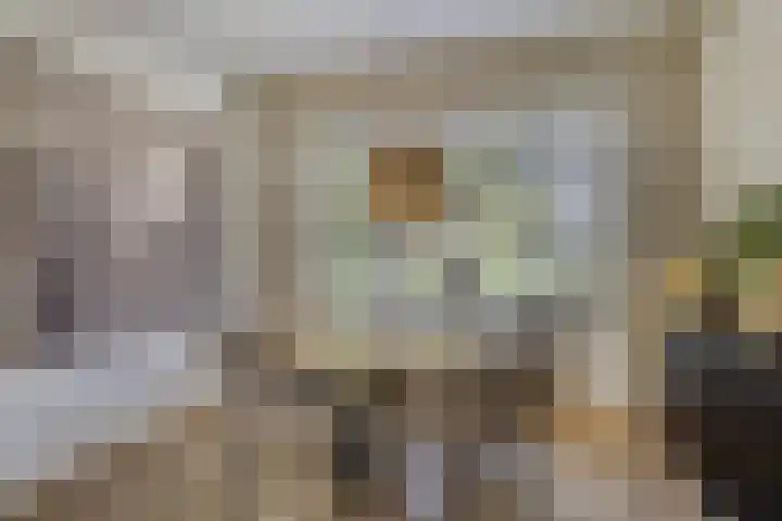Meulenkampstraat 16 Kampen thumbnail 4
