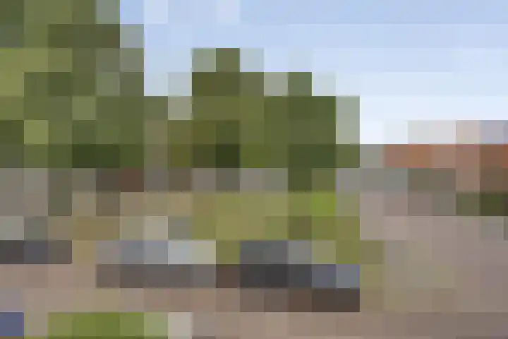 Meulenkampstraat 16 Kampen thumbnail 40