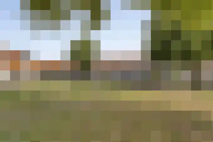Meulenkampstraat 16 Kampen thumbnail 41