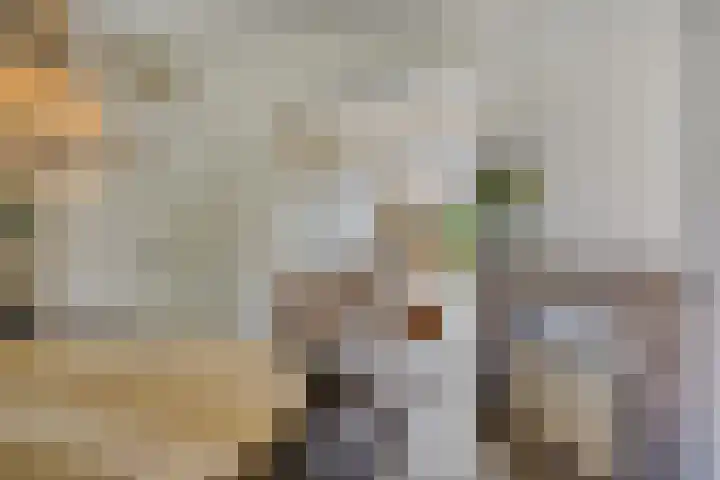 Meulenkampstraat 16 Kampen thumbnail 5