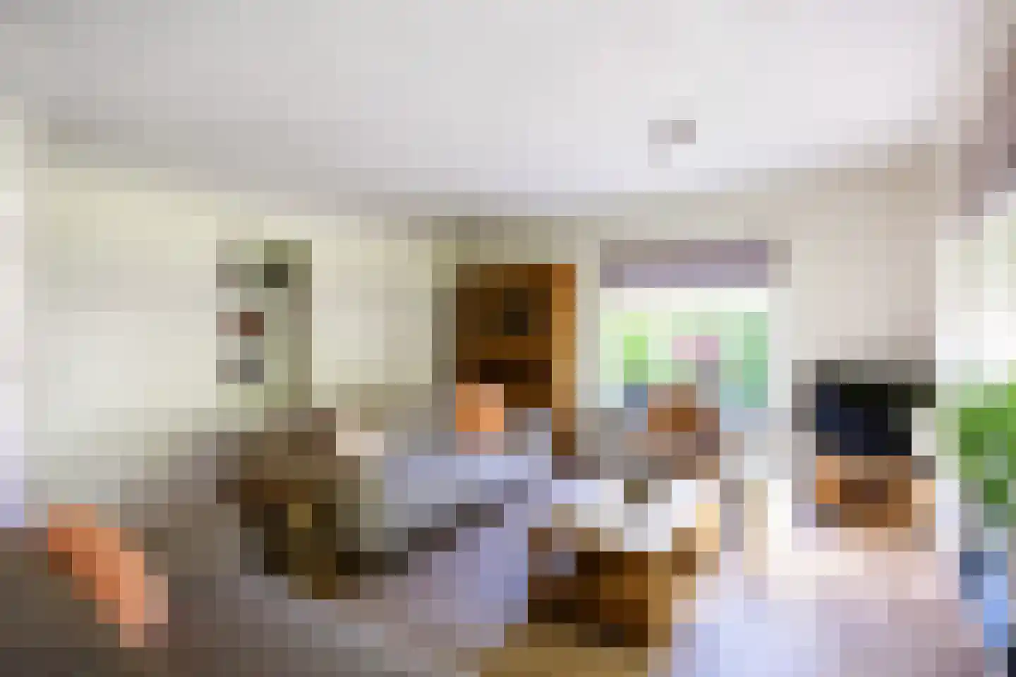 Meulenkampsweg 6 Donderen thumbnail 11