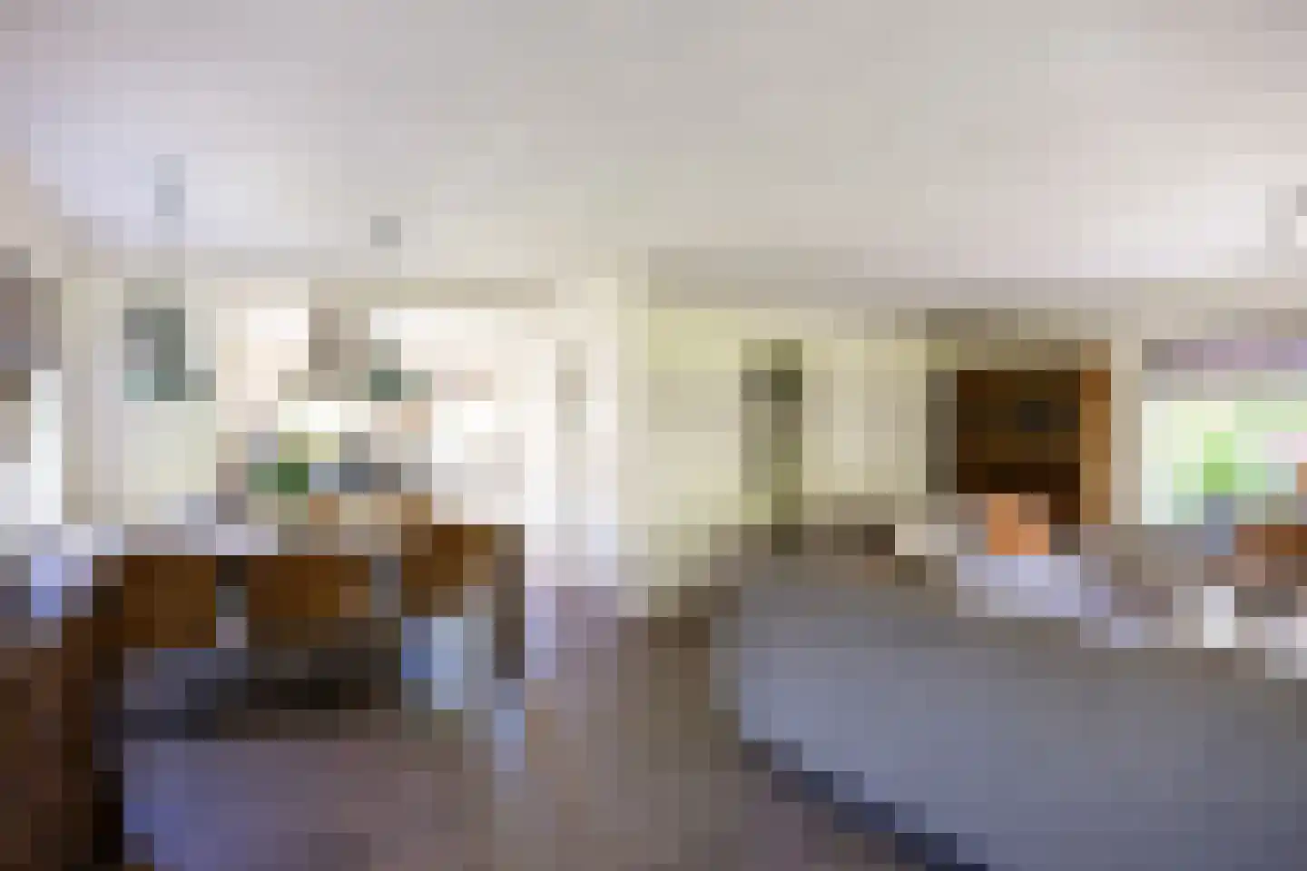 Meulenkampsweg 6 Donderen thumbnail 15