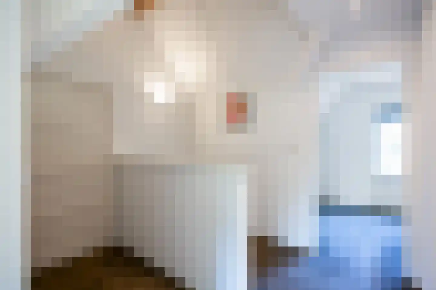 Meulenkampsweg 6 Donderen thumbnail 27