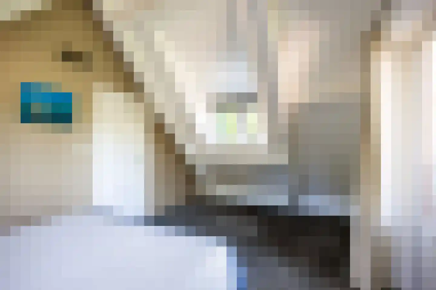 Meulenkampsweg 6 Donderen thumbnail 30