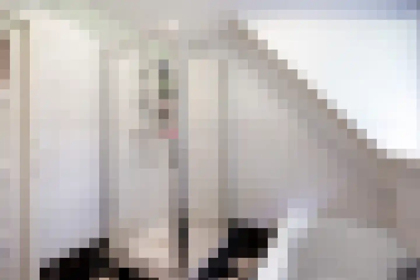 Meulenkampsweg 6 Donderen thumbnail 38