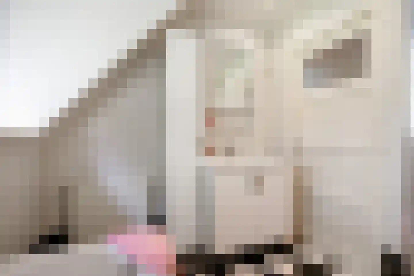 Meulenkampsweg 6 Donderen thumbnail 39