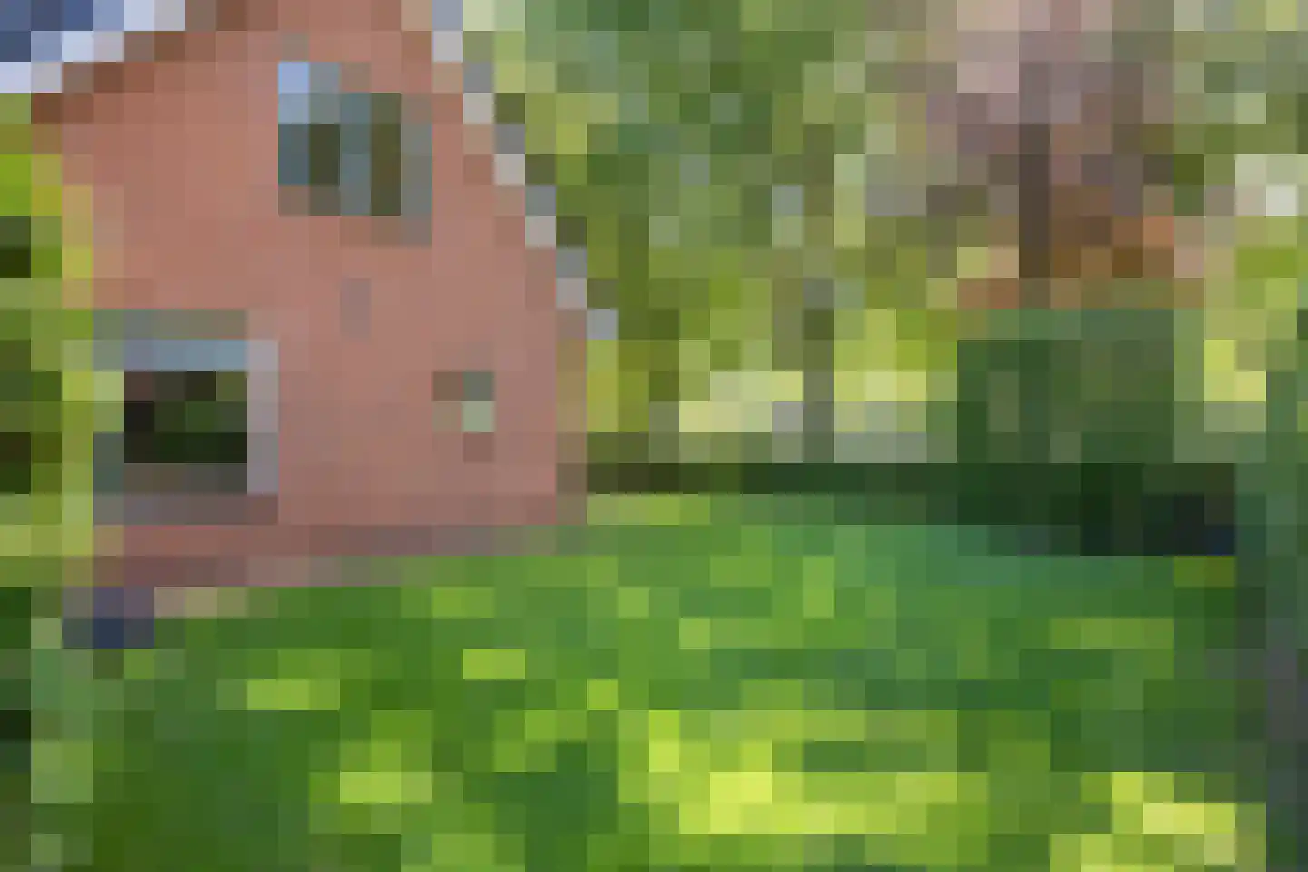 Meulenkampsweg 6 Donderen thumbnail 51