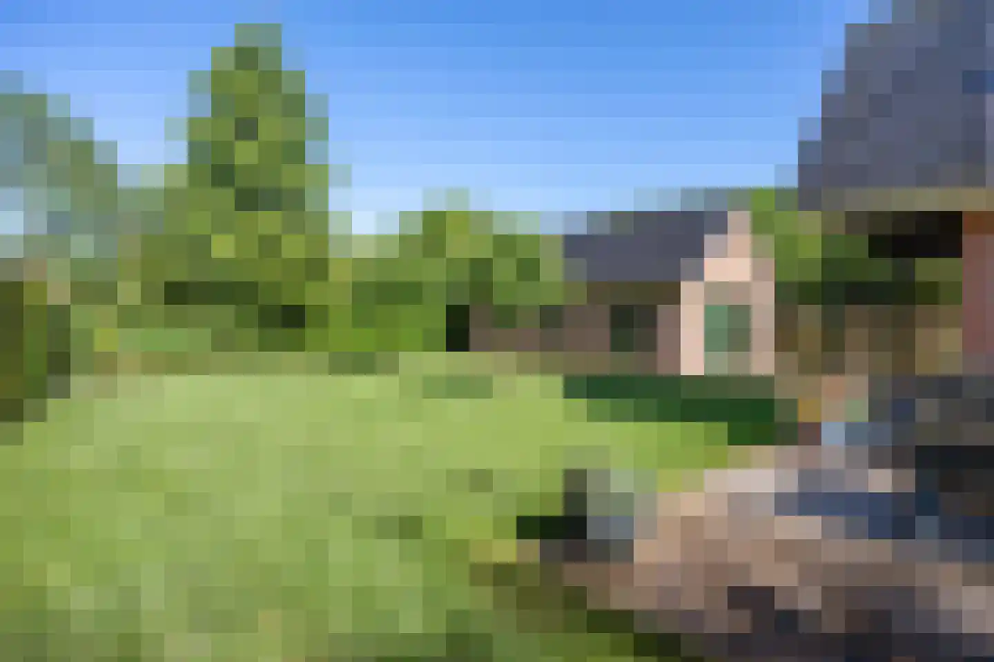 Meulenkampsweg 6 Donderen thumbnail 52