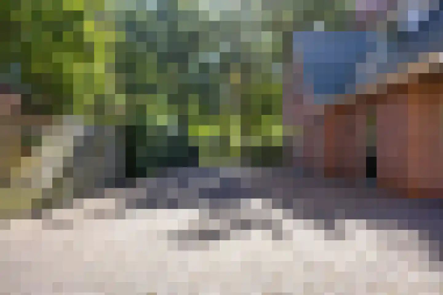 Meulenkampsweg 6 Donderen thumbnail 56