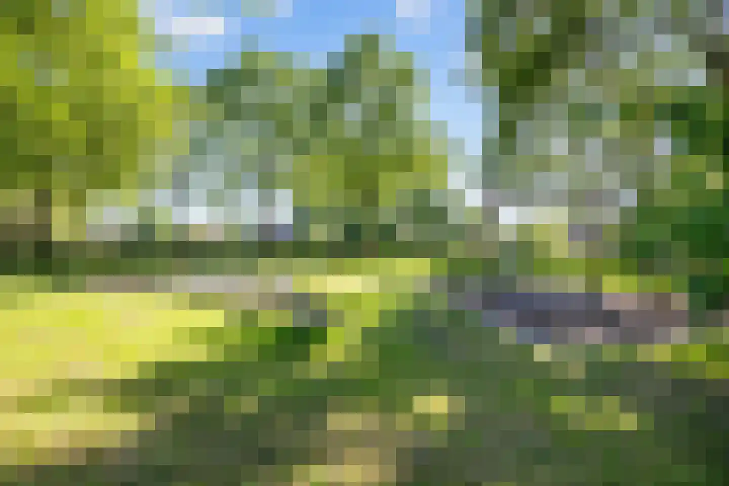 Meulenkampsweg 6 Donderen thumbnail 60