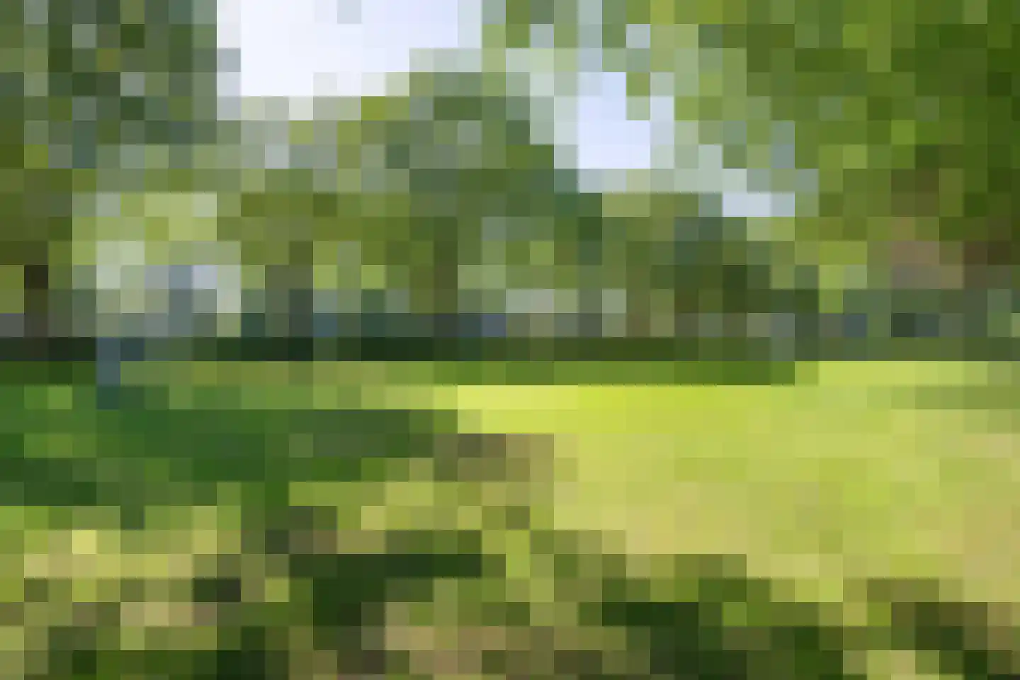 Meulenkampsweg 6 Donderen thumbnail 61