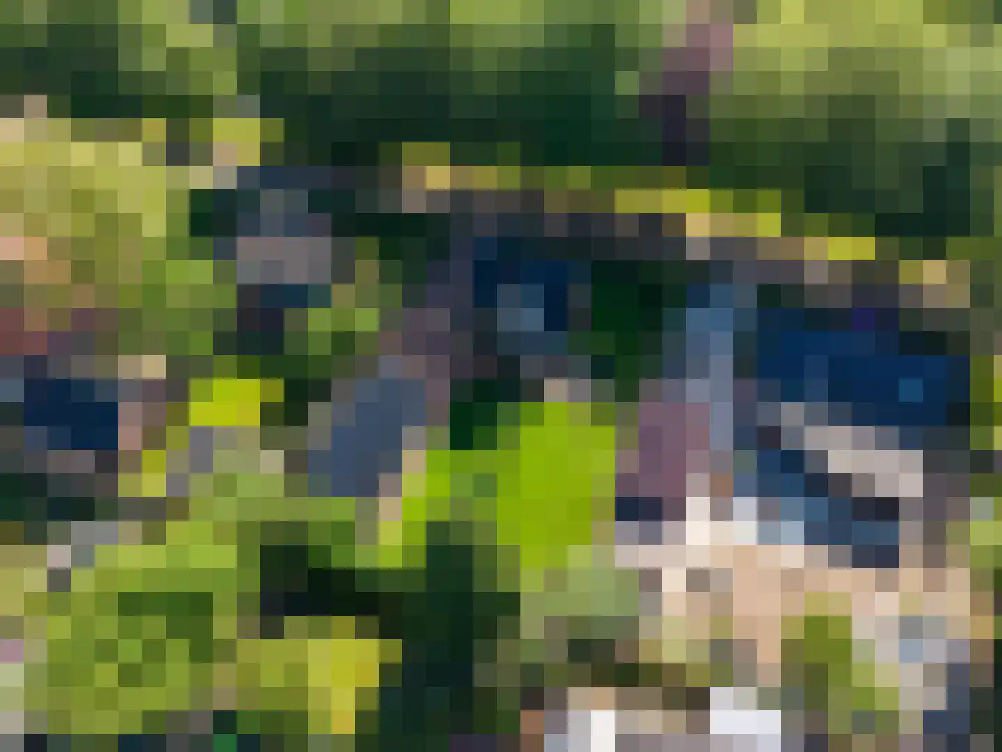 Meulenkampsweg 6 Donderen thumbnail 65