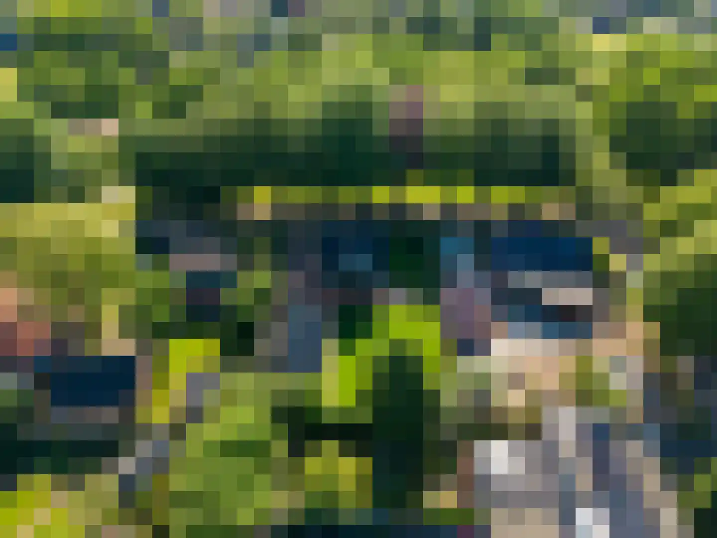 Meulenkampsweg 6 Donderen thumbnail 66