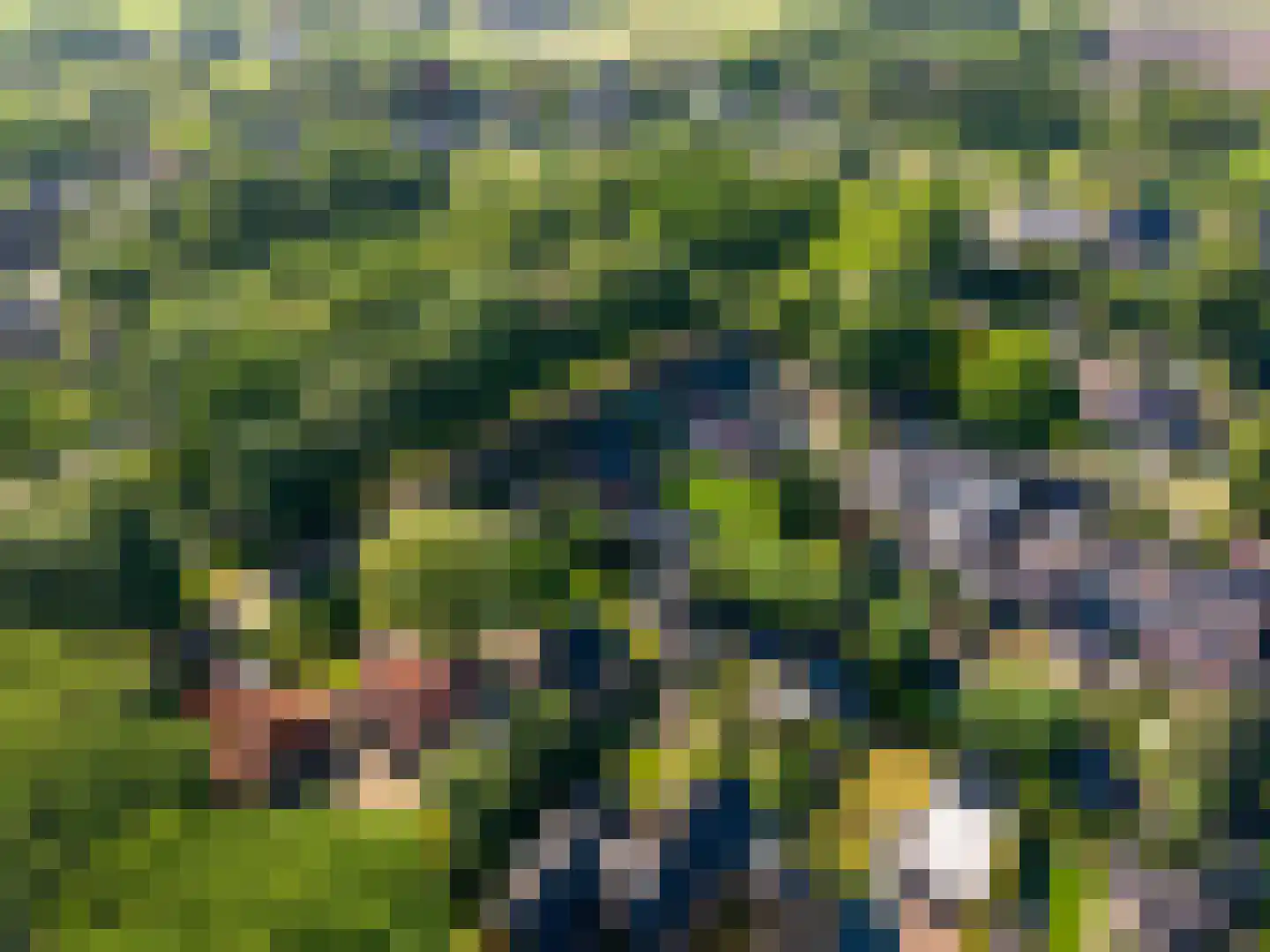 Meulenkampsweg 6 Donderen thumbnail 67
