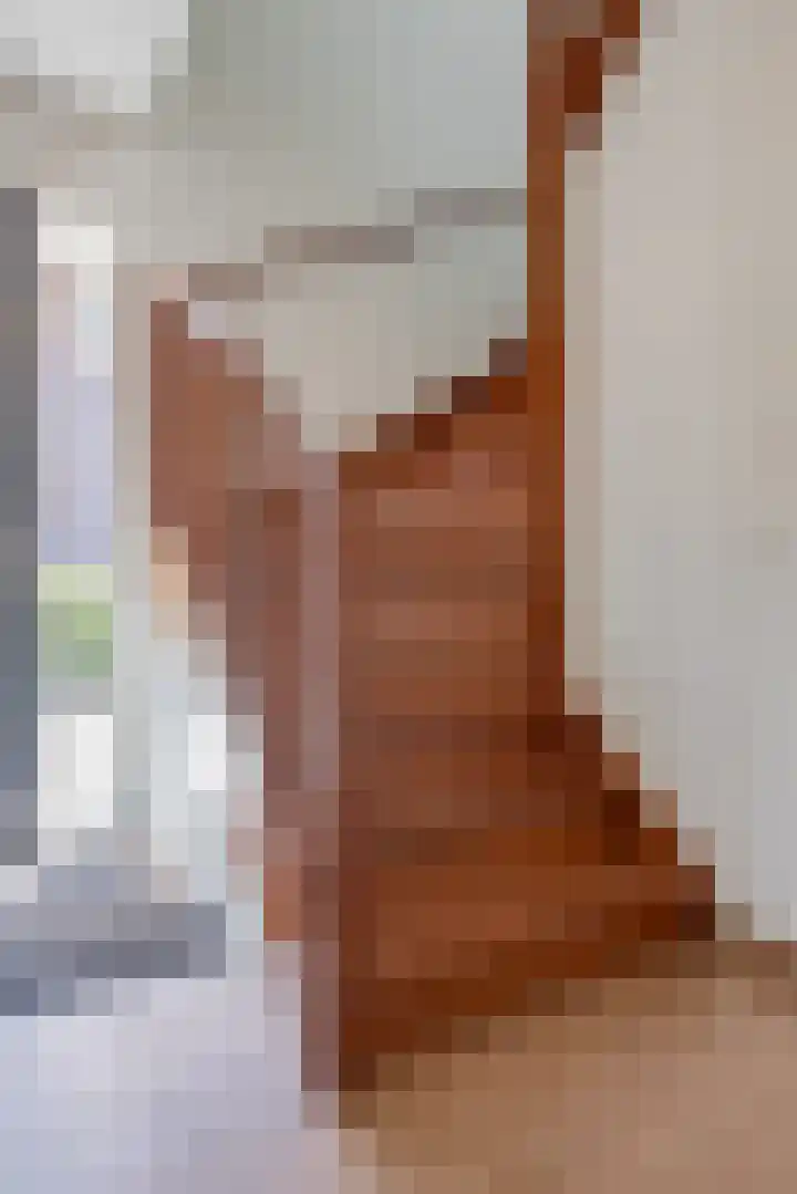Meulenspie 21 Teteringen thumbnail 22