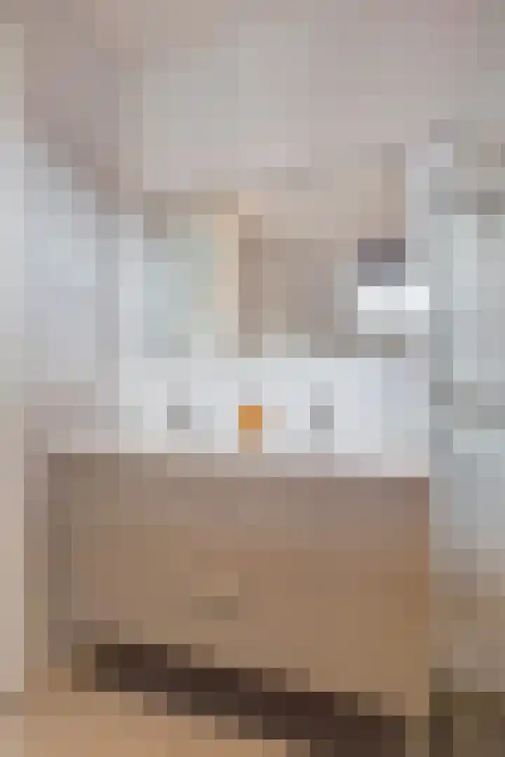 Meulenspie 21 Teteringen thumbnail 29