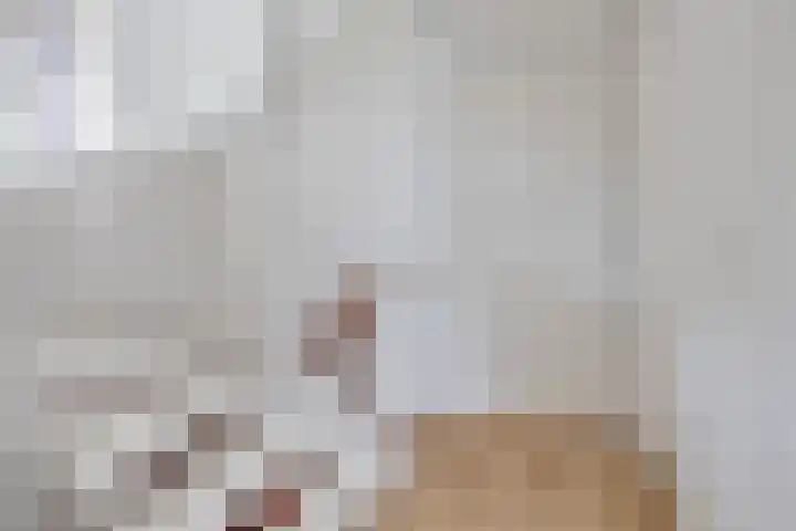 Meulenspie 21 Teteringen thumbnail 32