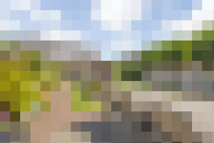 Meulenspie 21 Teteringen thumbnail 40