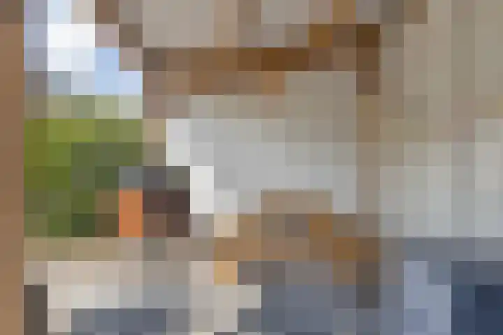 Meulenspie 21 Teteringen thumbnail 43