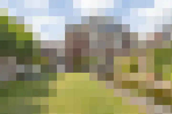 Meulenspie 21 Teteringen thumbnail 45